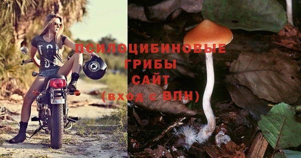 крисы Баксан