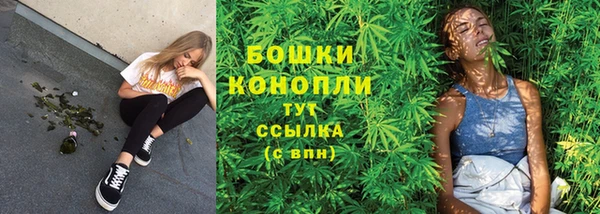 крисы Баксан