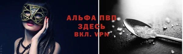 крисы Баксан