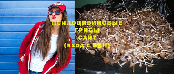 дживик Балахна