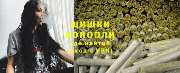 крисы Баксан