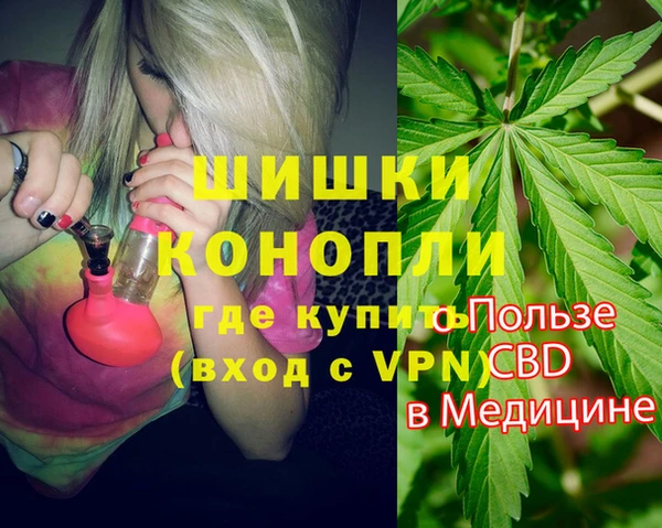 крисы Баксан