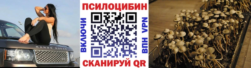 купить   Хасавюрт  Галлюциногенные грибы мухоморы 